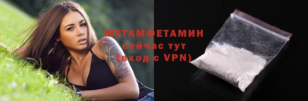 соль ск Дмитриев