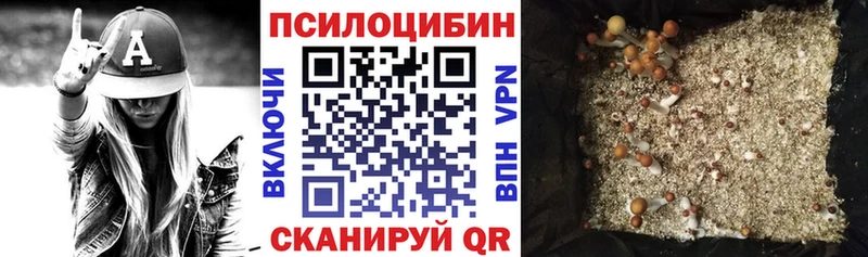 купить  цена  Киселёвск  Галлюциногенные грибы мухоморы 